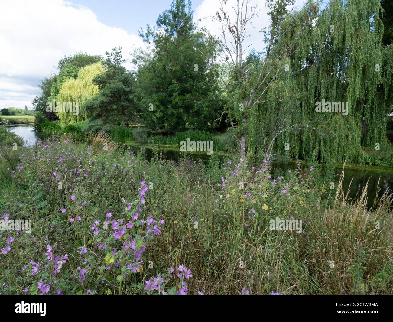 Blick auf River Stour Fordwich, Kent UK Stockfoto