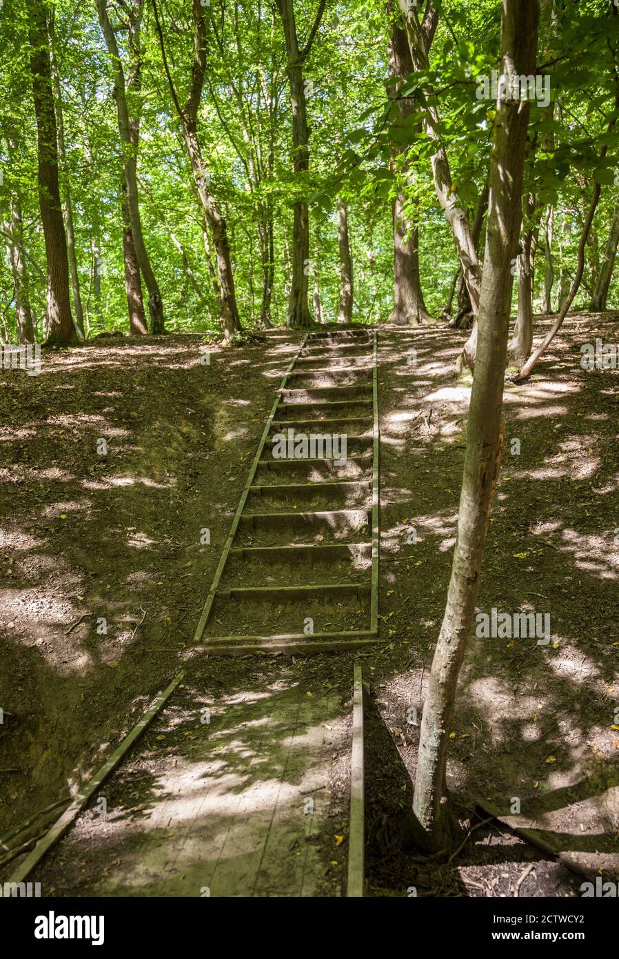 Holzstreppe aus Boarding, Wormley Wood, East Herts Stockfoto