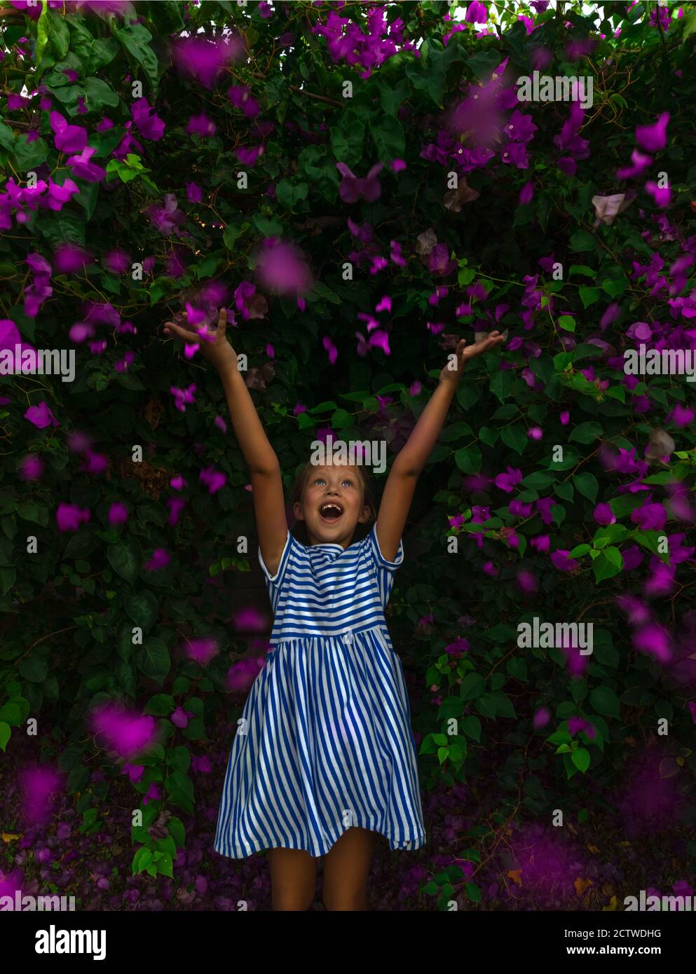 Nette fröhliche kleine Mädchen mit erhobenen Händen genießen große frische Blumenbusch. Blumengarten mit vielen violetten Blumen. Happy Healthy Childhood. Stockfoto