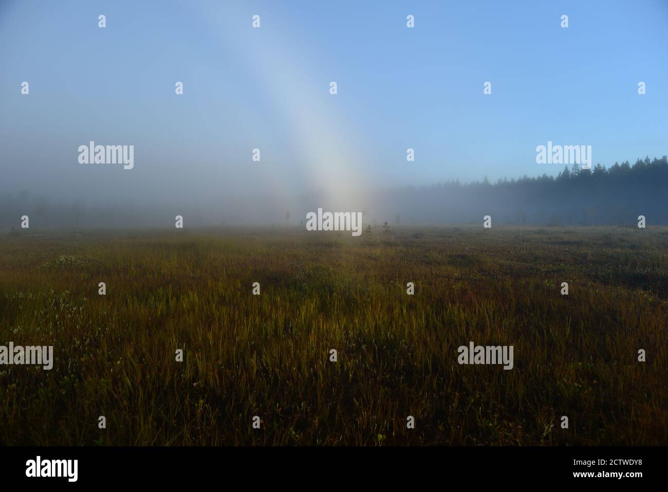 Glühen eines Regenbogens auf einem Waldsumpf in der Nebel im Morgengrauen Stockfoto