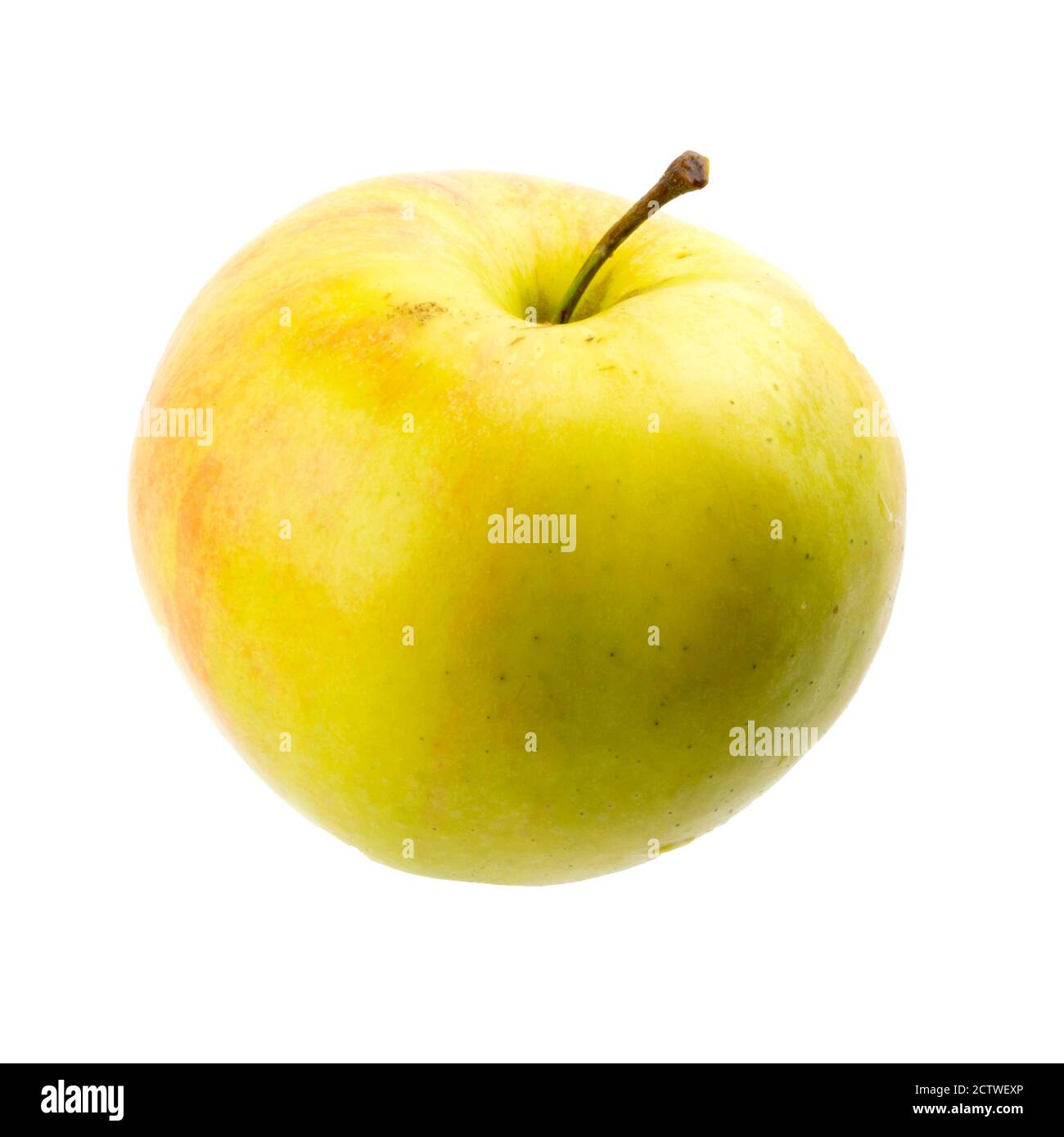Grüner Apfel auf dem weißen Hintergrund isoliert Stockfoto