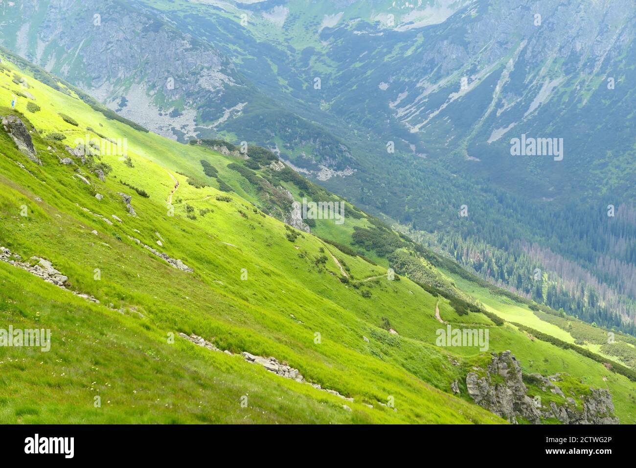 Grüne Alp in der Tatra. Berglandschaft vom Kasprowy wierch. Stockfoto