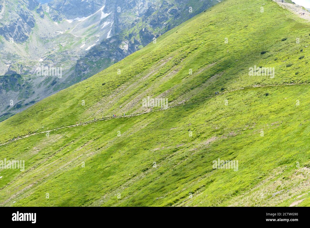 Grüne Alp in der Tatra, Polen. Berglandschaft vom Kasprowy wierch. Stockfoto