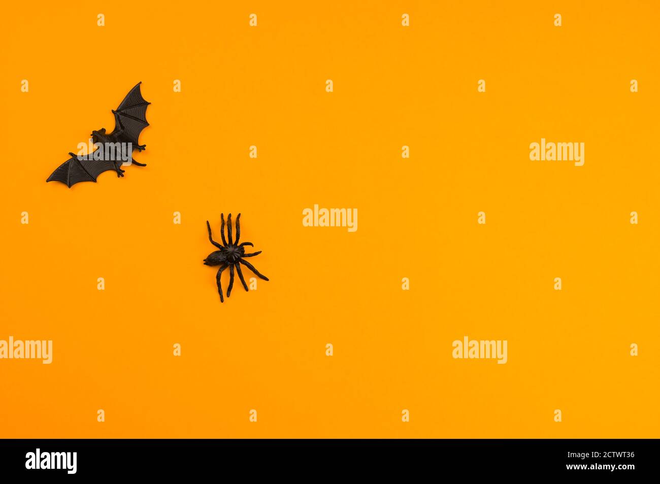 Fledermäuse und Spinnen sind schwarz auf einem orangen Hintergrund. Halloween-Dekor. Freier Speicherplatz für Text. Hochwertige Fotos Stockfoto