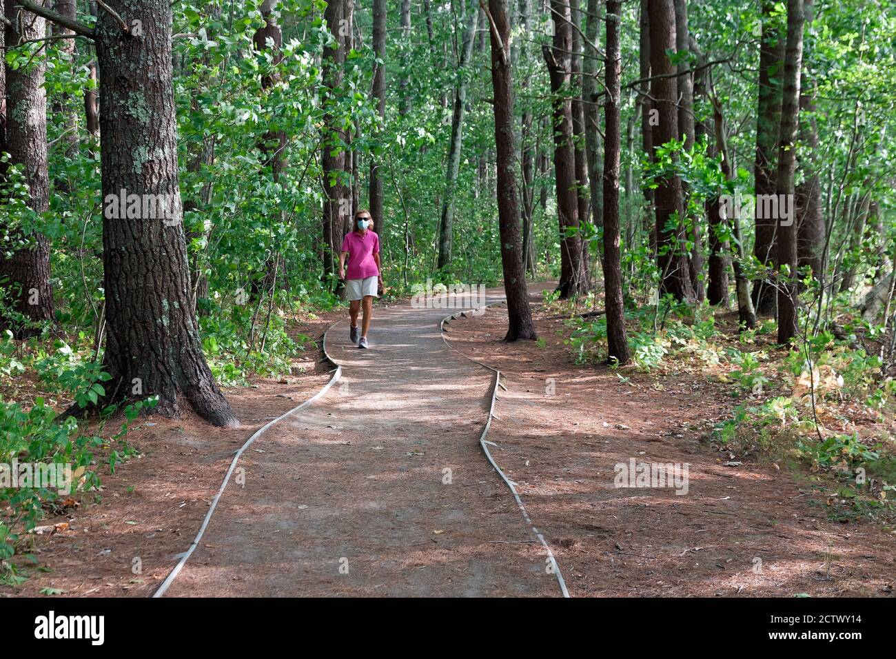 Frau, die auf dem Naturpfad im Rachel Carson National Wildlife Refuge in Wells, Maine, spazierengeht, während sie eine Gesichtsmaske trägt. Stockfoto