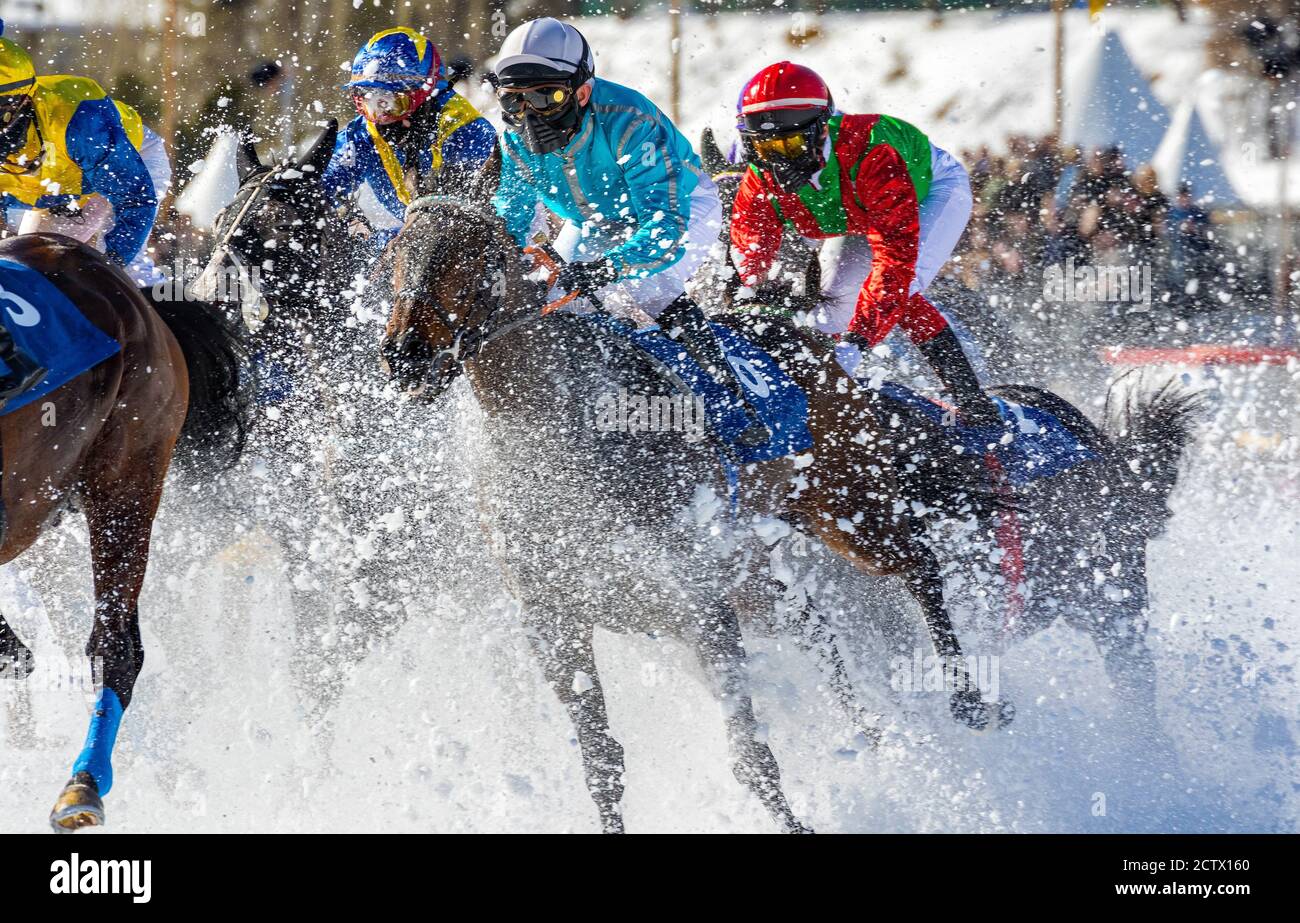 Engadina (CH) - Pferderennen auf dem Schnee White Turf Stockfoto
