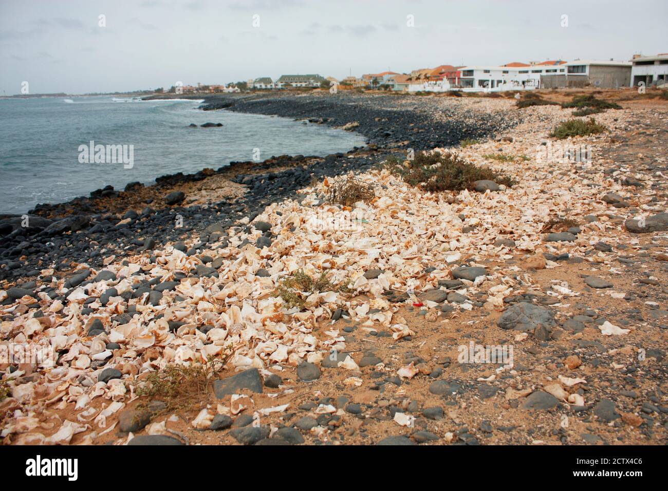 Seeufer voller zerbrochener Muscheln auf der Insel Sal, Kap Verde Stockfoto