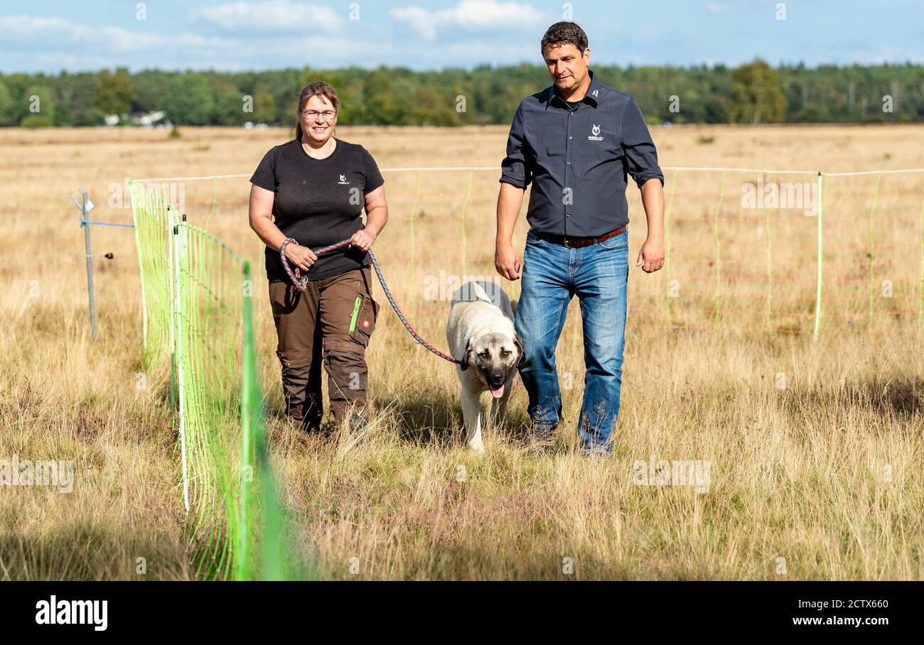 Peter schutte Fotos und Bildmaterial in hoher Auflösung Alamy
