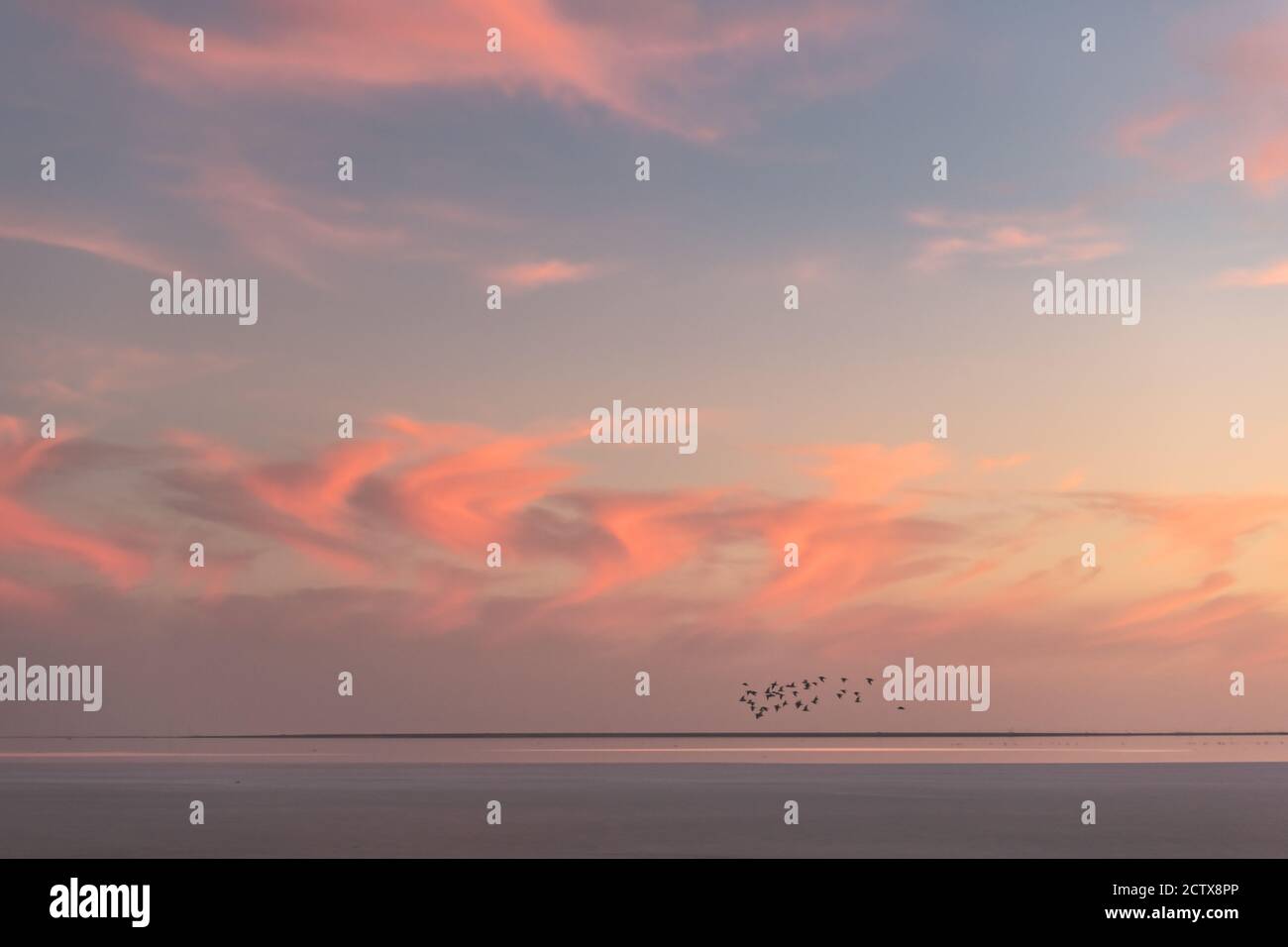 Sonnenuntergang auf dem Meer mit rot glühenden wolkigen Himmel und Schar von Vögeln. Ozean Sonnenaufgang Hintergrund. Landschaftsfotografie Stockfoto