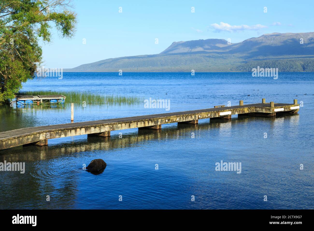 Ein Pier am ruhigen Wasser des Lake Tarawera, Neuseeland, mit vulkanischem Mount Tarawera im Hintergrund Stockfoto