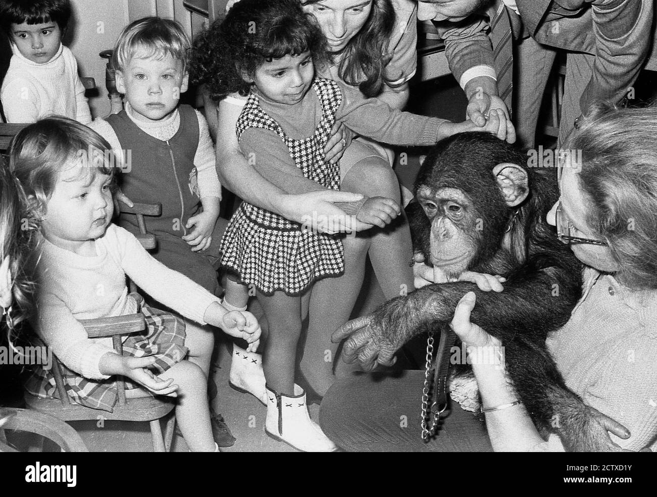 1970, historisch, ein Schimpansen, der die Kinderabteilung eines Krankenhauses im Südosten Londons besucht. Tiere können ein großer Schub für Kinder sein und Haustiere wie Welpen und Kaninchen werden oft in Schulen genommen, aber Wildtiere,.....nur in den siebziger Jahren wäre dies möglich gewesen. Stockfoto