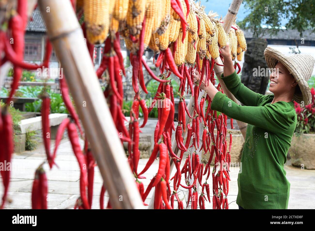 Huangshan, Chinas Provinz Anhui. September 2020. Ein Dorfbewohner lüftet Chilies und Mais im Dorf Chengkan im Bezirk Huizhou in Huangshan, ostchinesische Provinz Anhui, 25. September 2020. Quelle: Huang Bohan/Xinhua/Alamy Live News Stockfoto