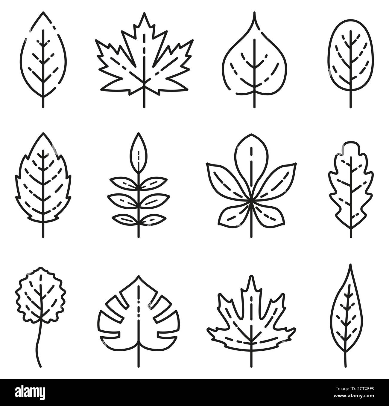 Vektordarstellung der Kontur isolierte Blätter Symbole Stock Vektor