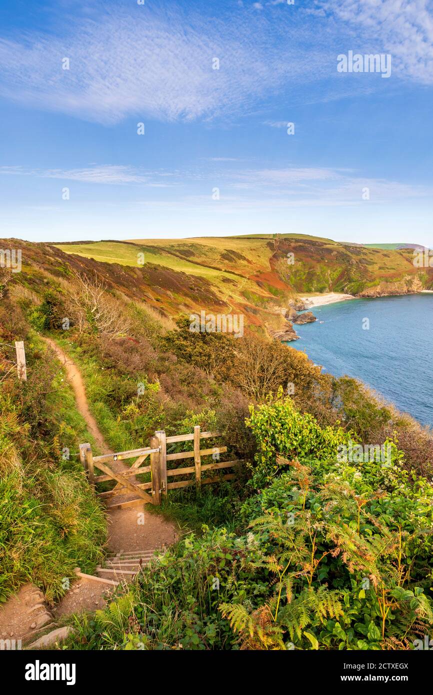 Lantic Bay vom South West Coast Path an der Cornish Coast, Cornwall, England Stockfoto