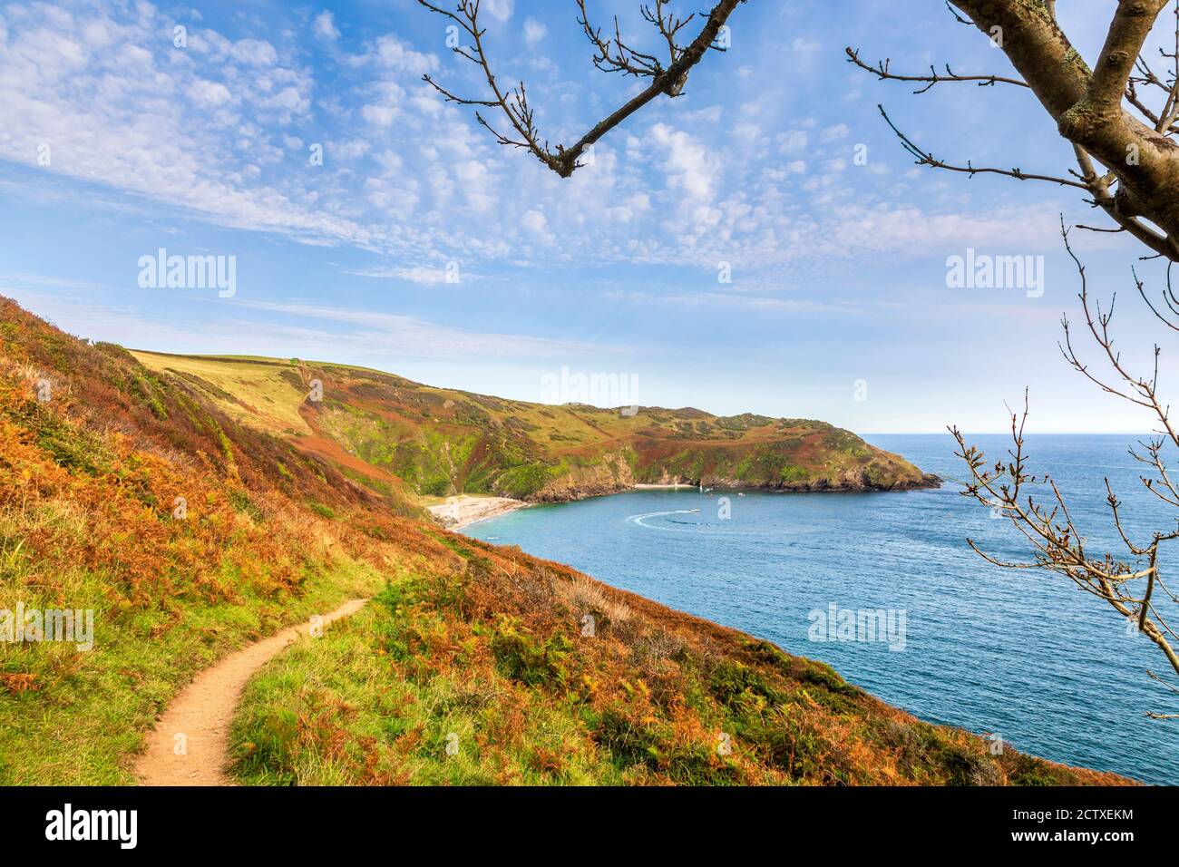 Lantic Bay vom South West Coast Path an der Cornish Coast, Cornwall, England Stockfoto
