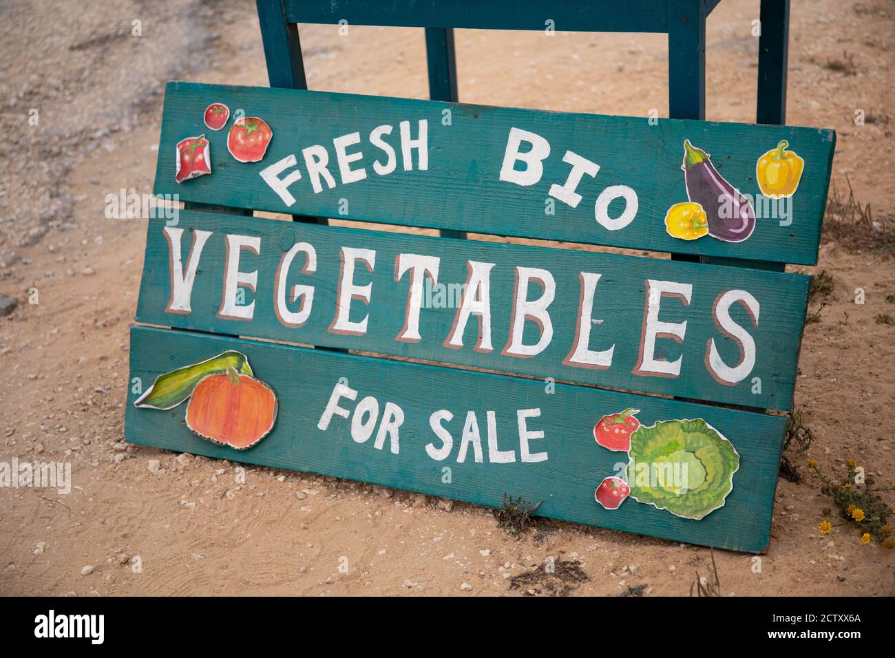 Frisches Bio-Gemüse zum Verkauf Zeichen. Stockfoto