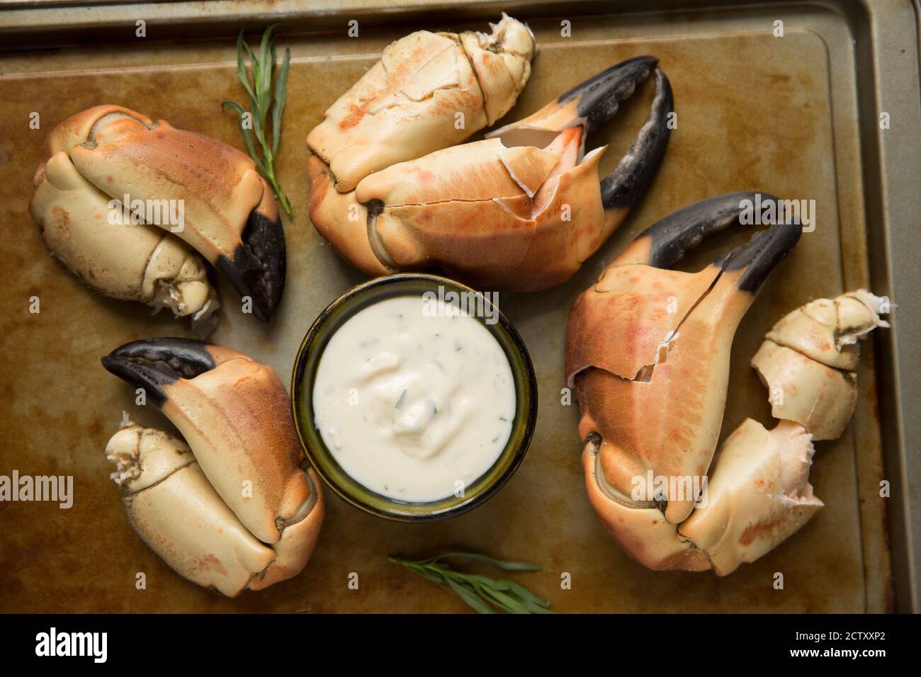 Gekochte Krabbenkrallen aus einer braunen Krabbe, Krebs Pagurus, die mit einem Knoblauch, Estragon und Zitrone Mayonnaise serviert wurden. Dorset England GB Stockfoto