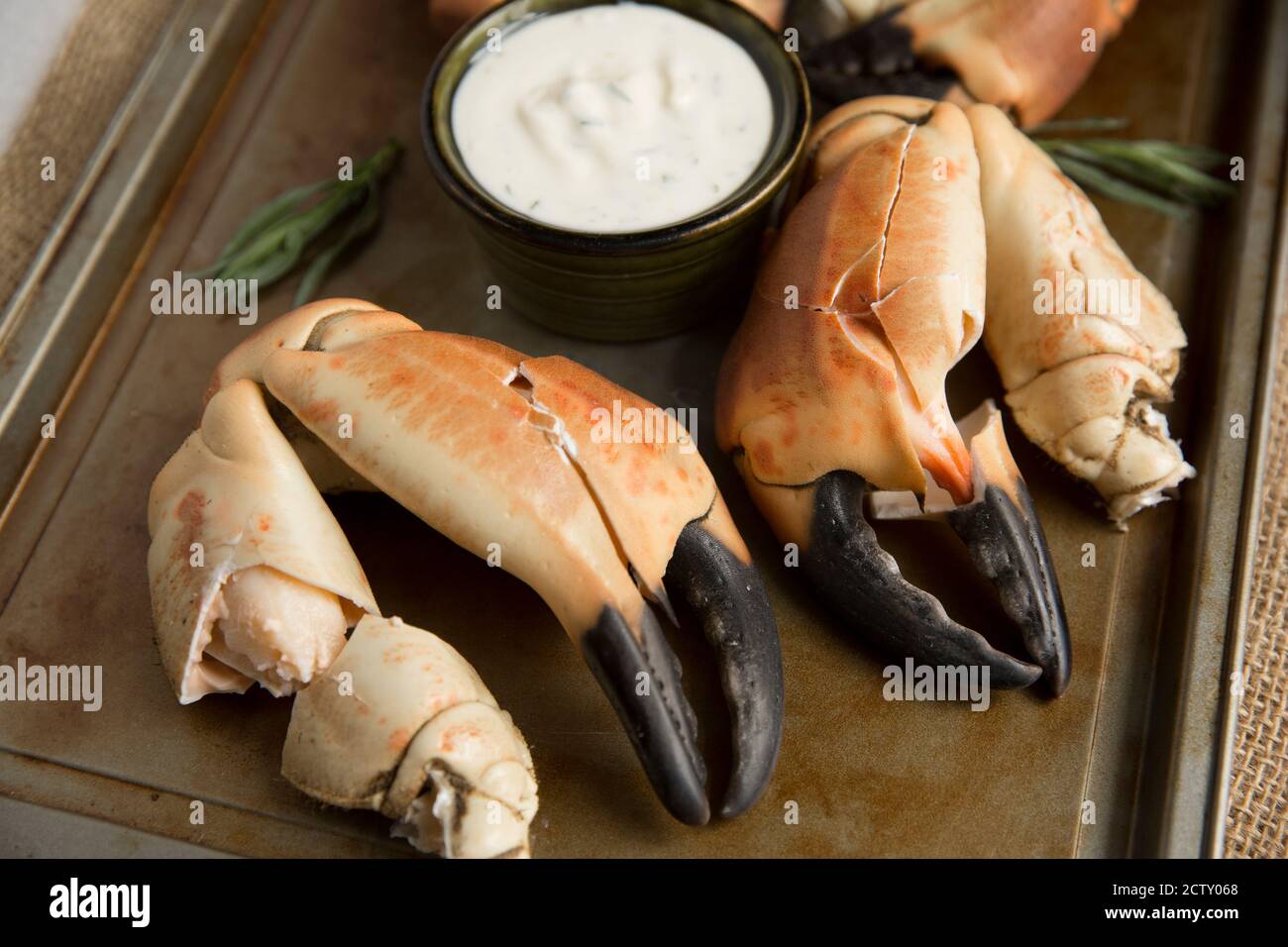 Gekochte Krabbenkrallen aus einer braunen Krabbe, Krebs Pagurus, die mit einem Knoblauch, Estragon und Zitrone Mayonnaise serviert wurden. Dorset England GB Stockfoto