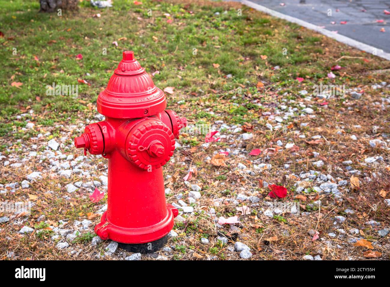 Nahaufnahme eines traditionellen amerikanischen Hydranten auf einem Herbstmorgen Stockfoto