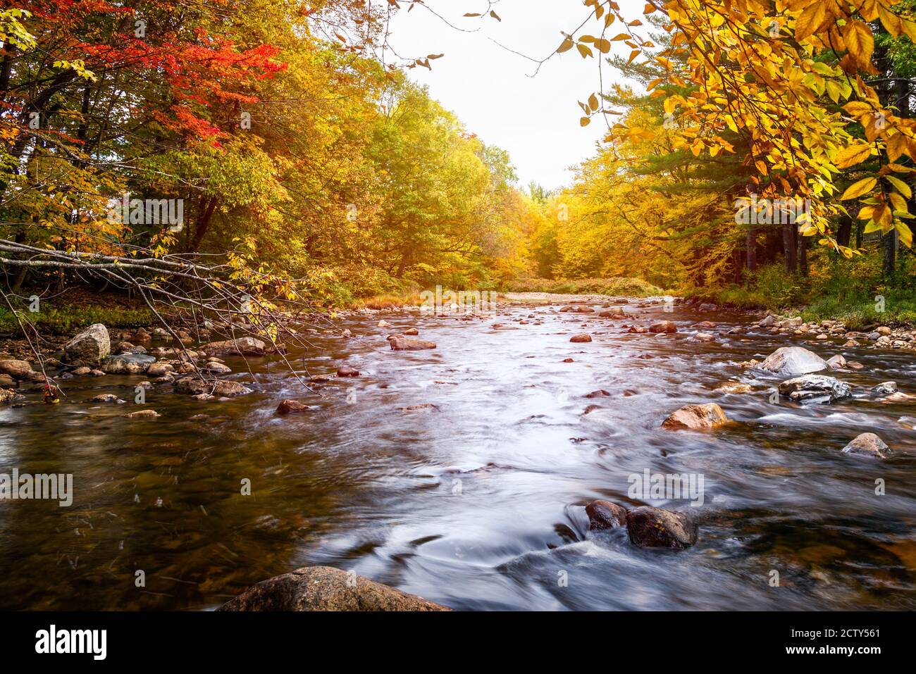 Bergfluss durch einen bunten Laubwald auf dem Gipfel Herbstlaub an einem Herbsttag Stockfoto