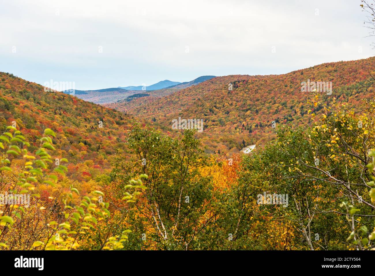 Herrliche bewaldete Berglandschaft auf dem Gipfel des Herbstlaubes An einem bewölkten Morgen Stockfoto