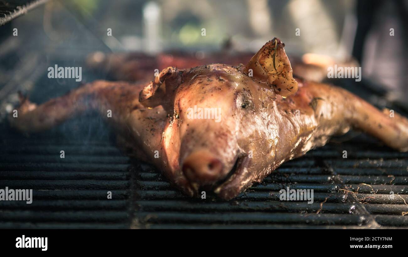 Leckeres Schweinefleisch auf einem Grill. Nahaufnahme des ganzen Schweins gekochtes gegrilltes Fleisch in BBQ von Gartenhaus in den Ferien. Knusprig gebratenes Ferkel am Spieß Stockfoto