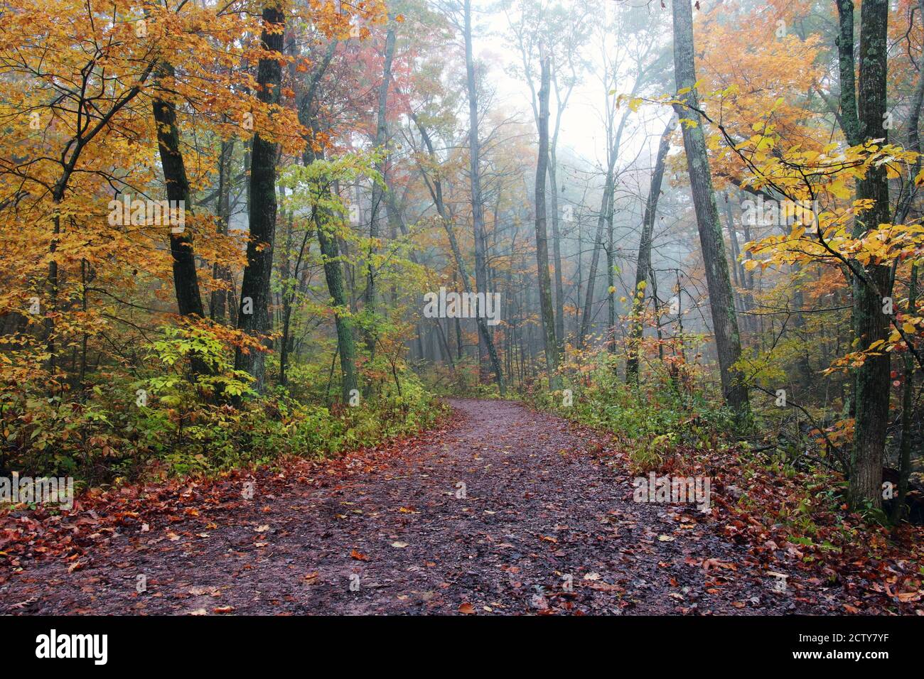 Wunderschöne Wisconsin Eis Natur Hintergrund. Landschaftlich reizvolle Herbstlandschaft im Nebelwald. East Bluff Wanderweg am Devils Lake State Park, Baraboo WI USA Stockfoto