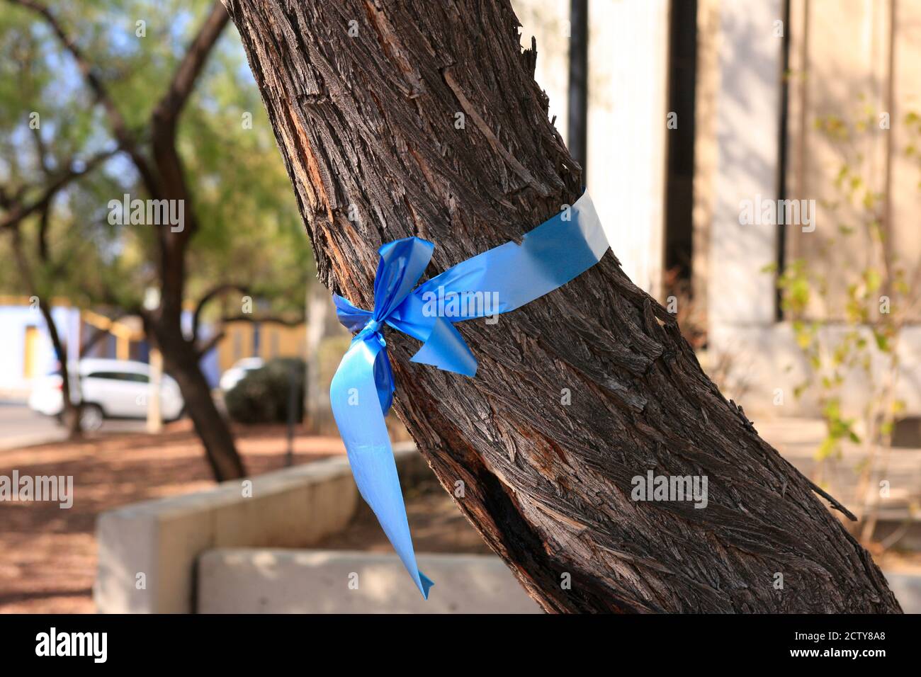 Blaues Band, das um einen Baum gebunden ist, um Mitarbeiter im Gesundheitswesen zu ehren Bedeutet auch pro-polizeiliche „Blue Lives Matter“ Stockfoto