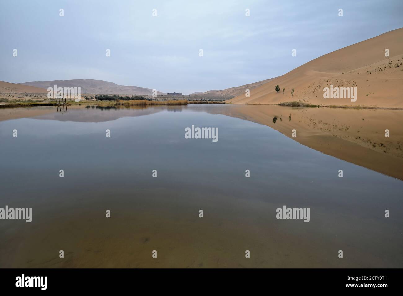 Megadune reflektiert auf See Badain Ost. Badain Jaran Wüste-Innere Mongolei-China-1042 Stockfoto