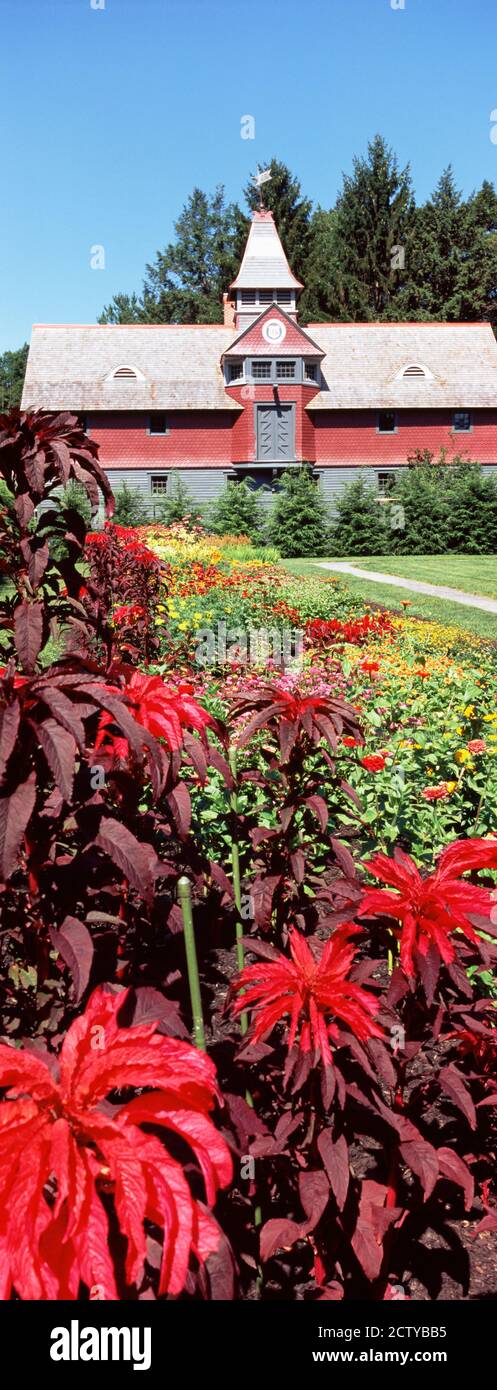 Blumen blühen in einem eleganten Garten, Roosevelt National Historic Site, Hudson River Valley, Hyde Park, New York State, USA Stockfoto