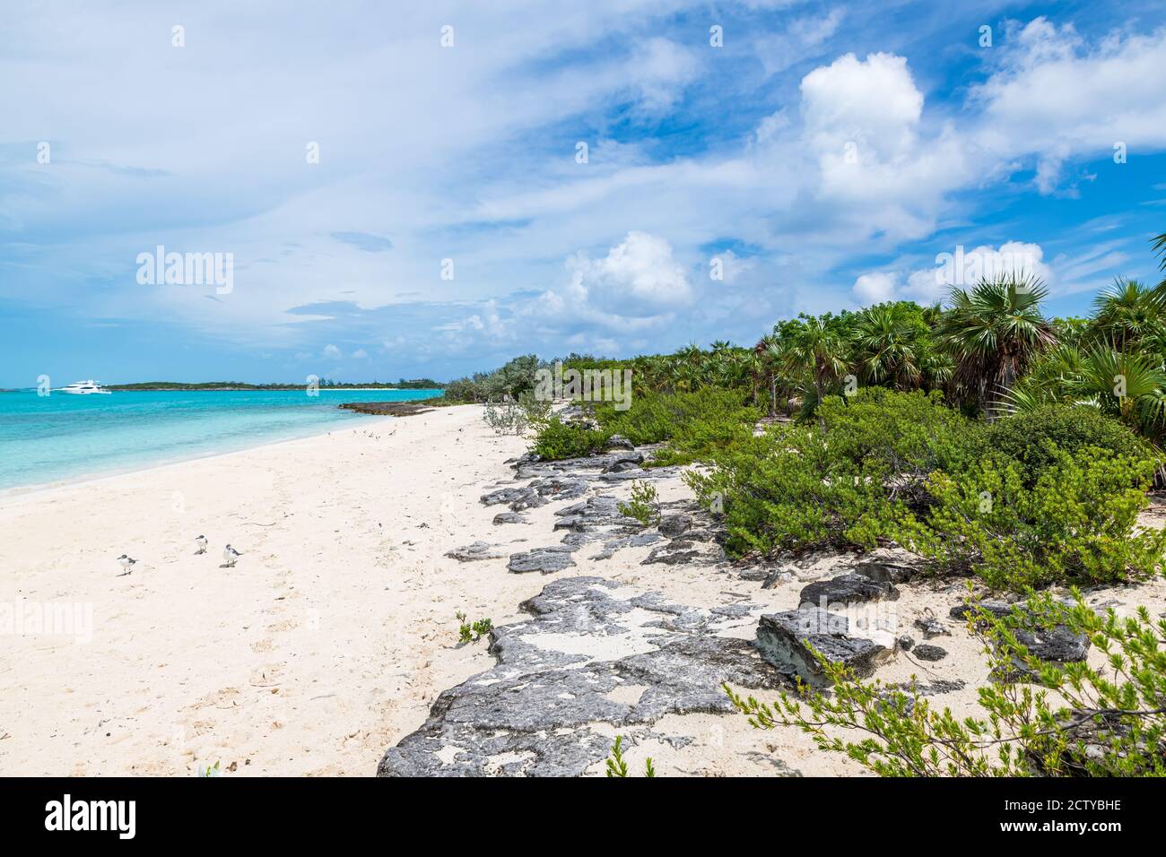 Blick auf Big Major Cay (besser bekannt als Pig Island oder Pig Beach), wo eine Kolonie von Wildschweinen lebt (Exuma, Bahamas). Stockfoto