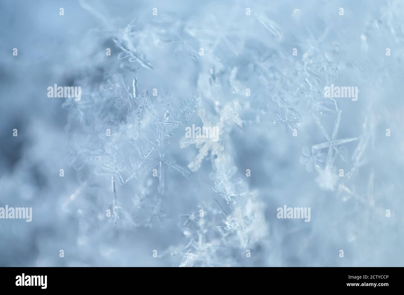 Unschärfere Makrofotografie von Schneeflocken als natürlicher Winterhintergrund in hellblau. Geringe Schärfentiefe, Nahaufnahme. Stockfoto