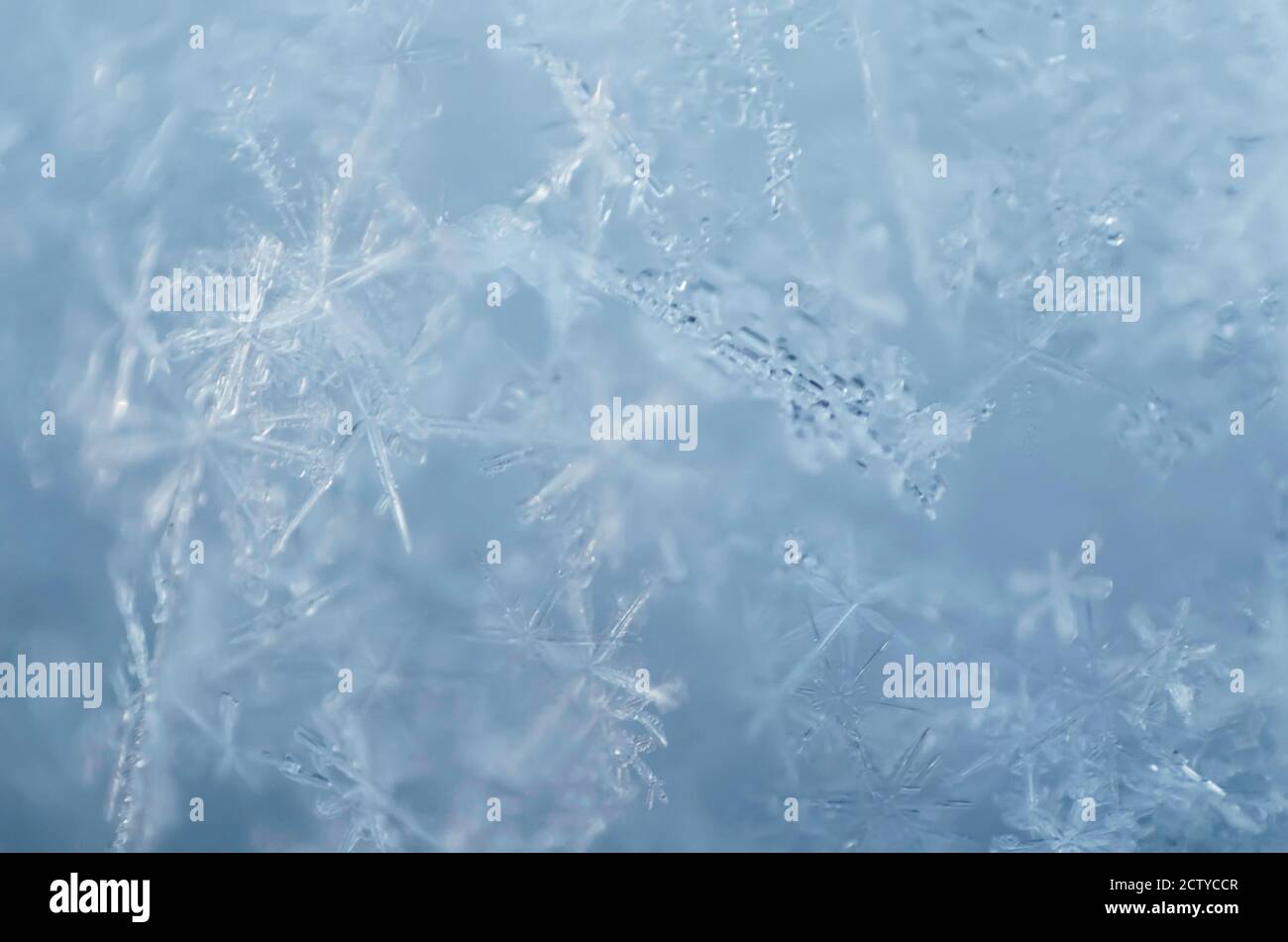 Unschärfere Makrofotografie von Schneeflocken als natürlicher Winterhintergrund in hellblau. Geringe Schärfentiefe, Nahaufnahme. Stockfoto