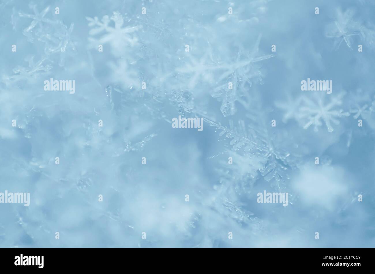 Unschärfere Makrofotografie von Schneeflocken als natürlicher Winterhintergrund in hellblau. Geringe Schärfentiefe, Nahaufnahme. Stockfoto