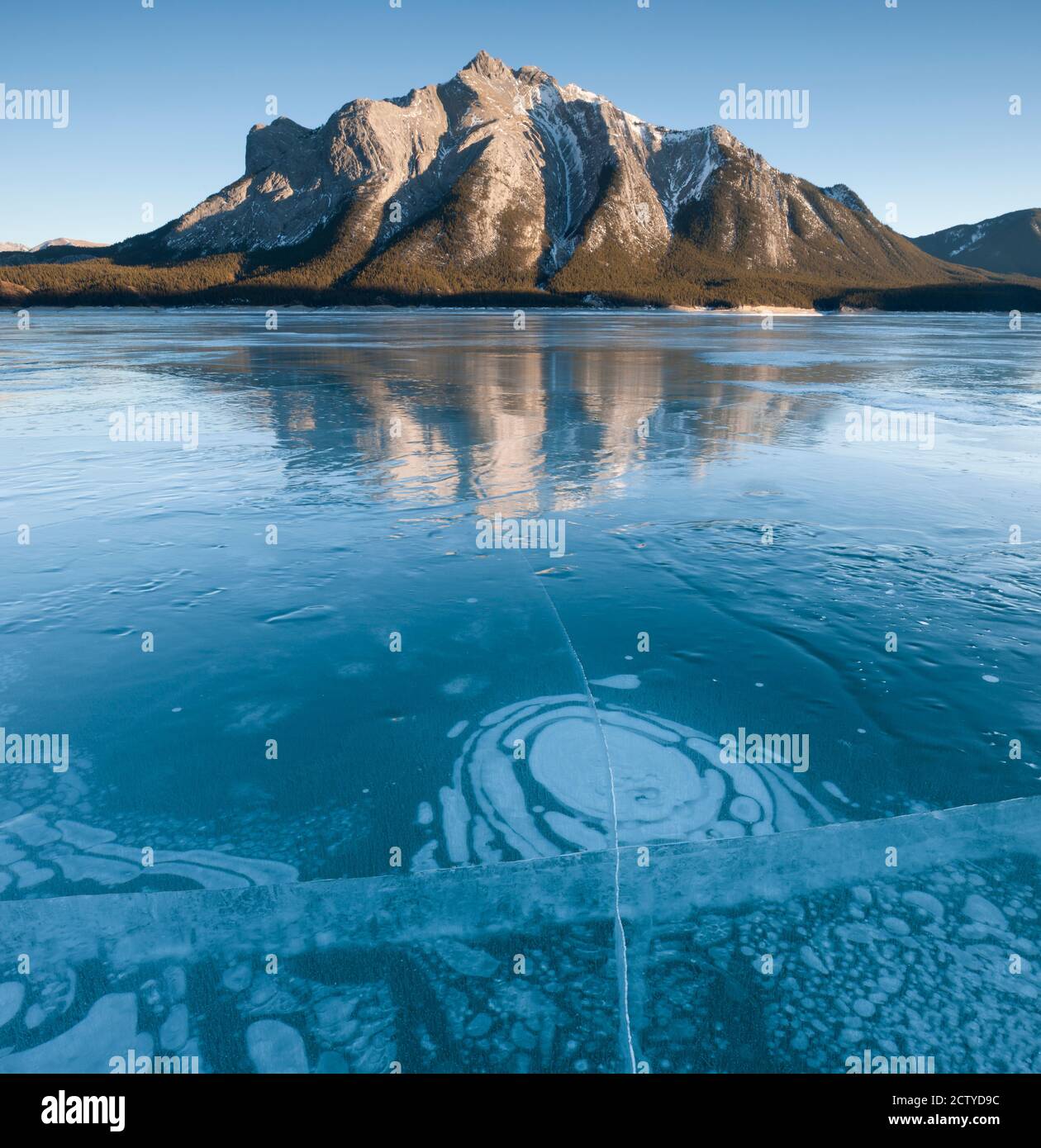 Eis und Blasen in einem See, Abraham Lake, Alberta, Kanada Stockfoto