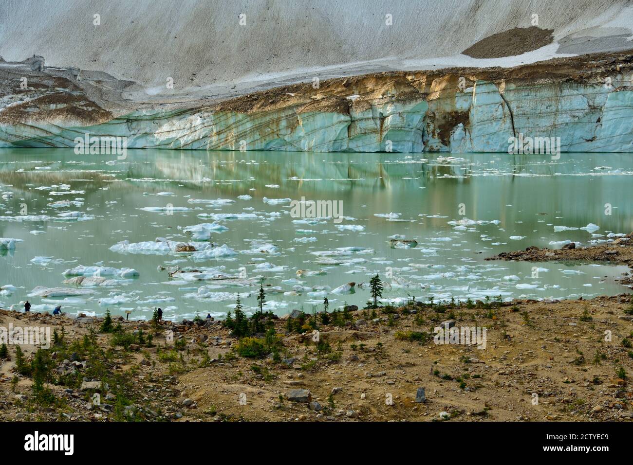 Ein Landschaftsbild des Cavell Teiches am Fuße des Mount Edith Cavell mit dem Gefallenen Ghost Glacier an seinem Ufer im Jasper National Park, Alberta Kanada. Stockfoto