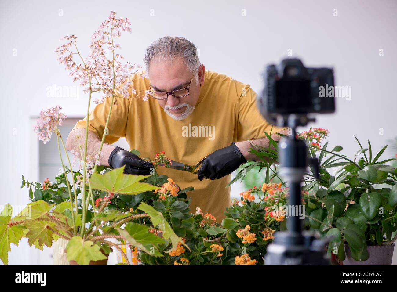Alter männlicher Gärtner mit Pflanzen zu Hause Stockfoto