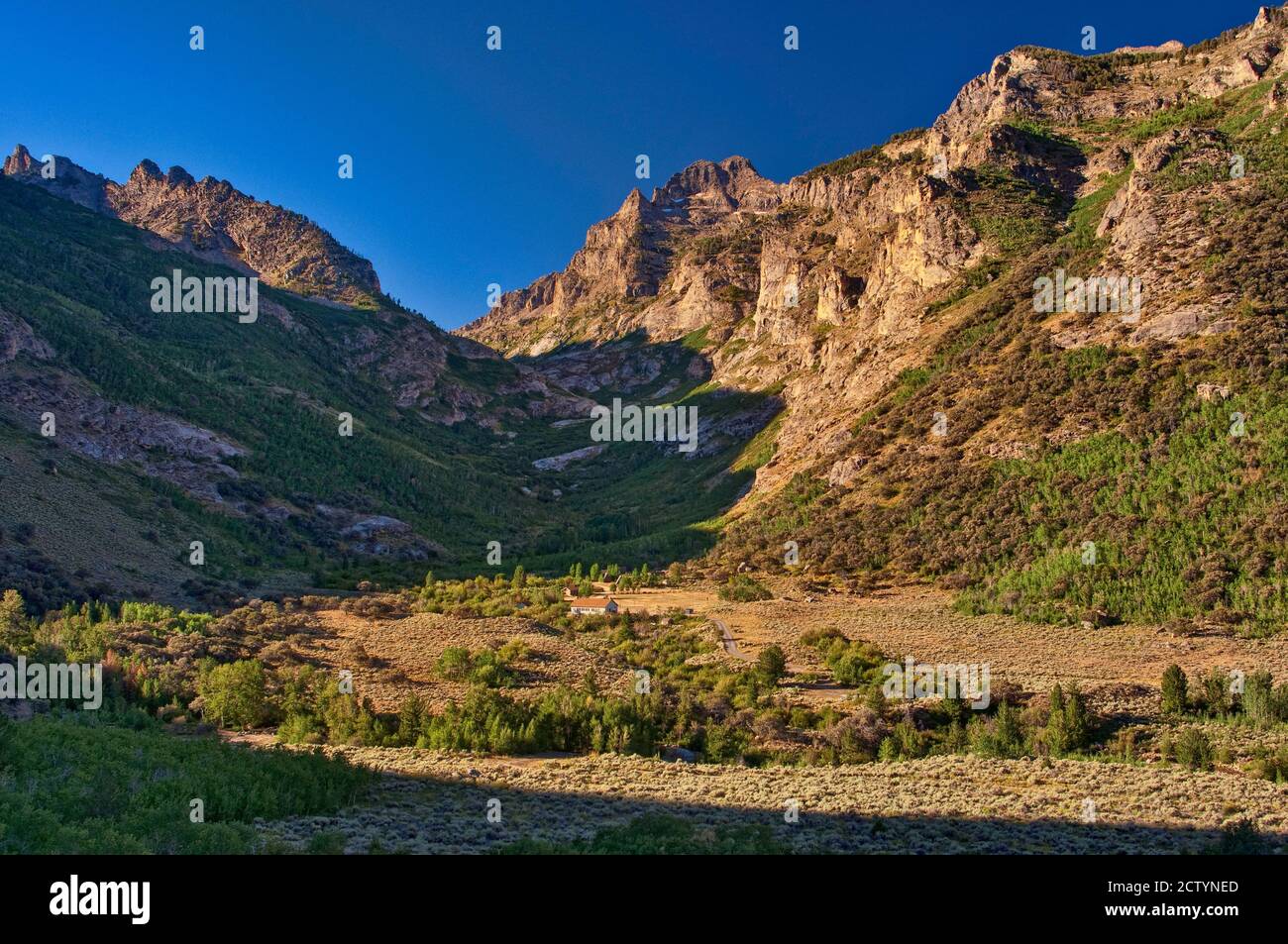 Lamoille Canyon, Mount Gilbert in der Ferne, Camp Lamoille Gebiet, rechts Fork Lamoille Creek Gebiet, in Ruby Mountains, Nevada, USA Stockfoto