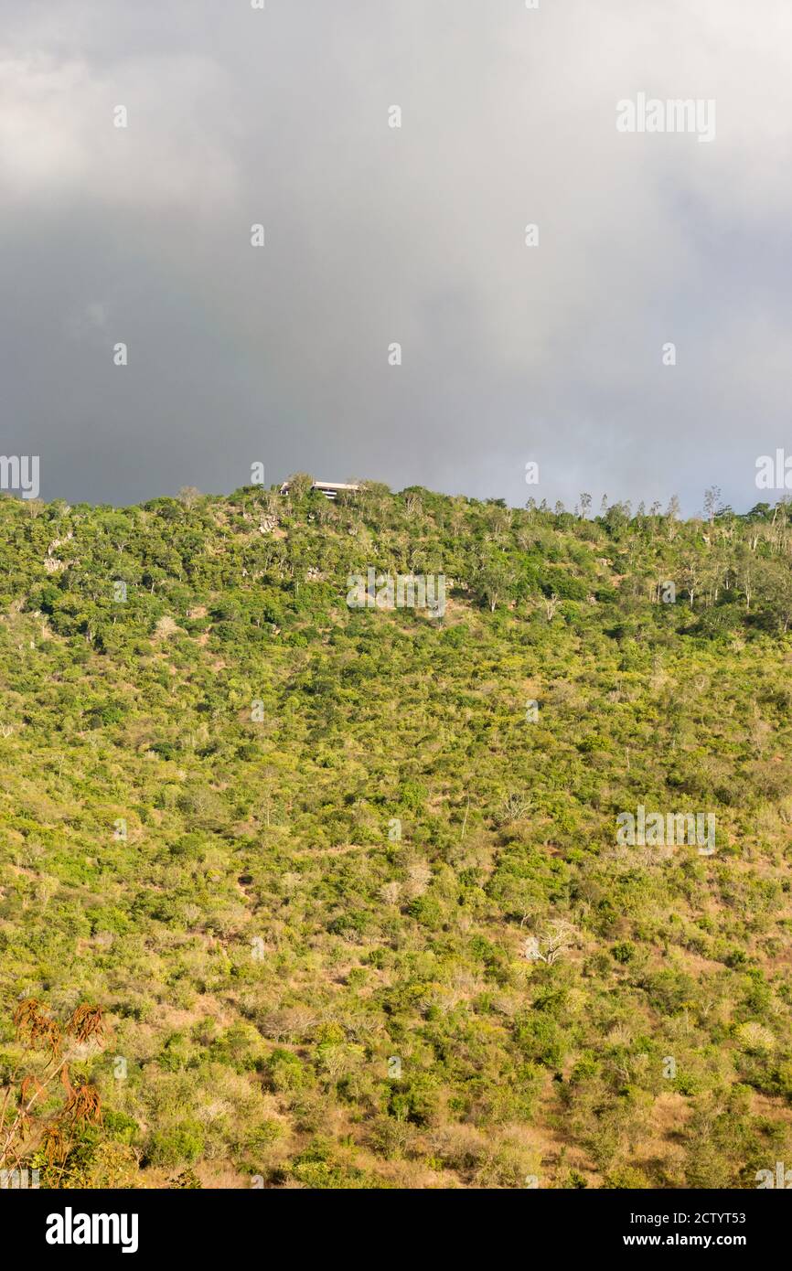 Ein Abschnitt des Shimba Hills National Reserve, zeigt Bäume auf einem großen Hügel, Kenia, Ostafrika Stockfoto