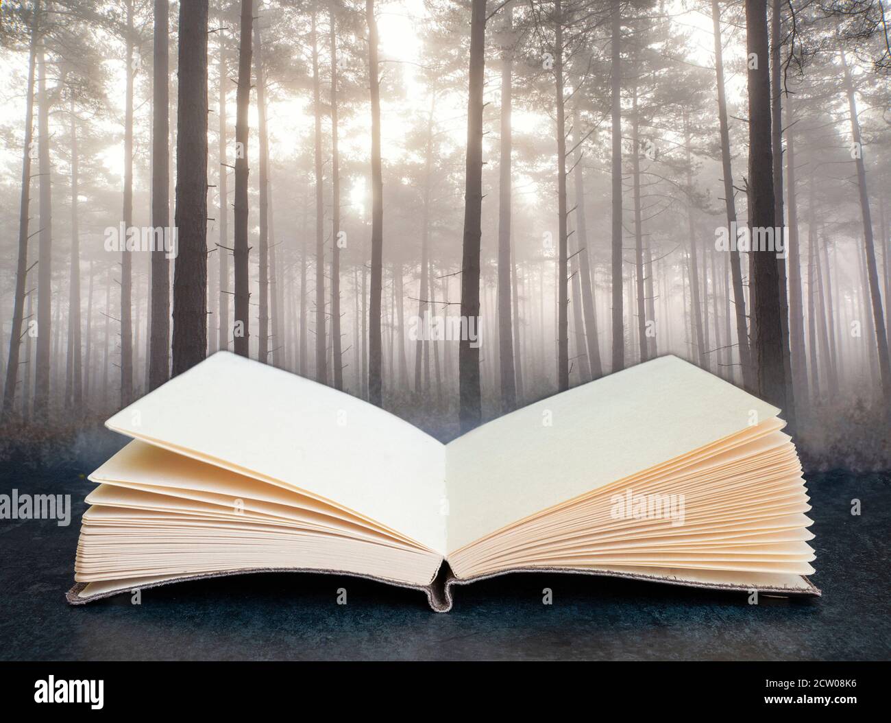 Herbst Herbst Landschaft nebligen Morgen in Kiefernwald herauskommen Von Seiten in einem Buch Stockfoto