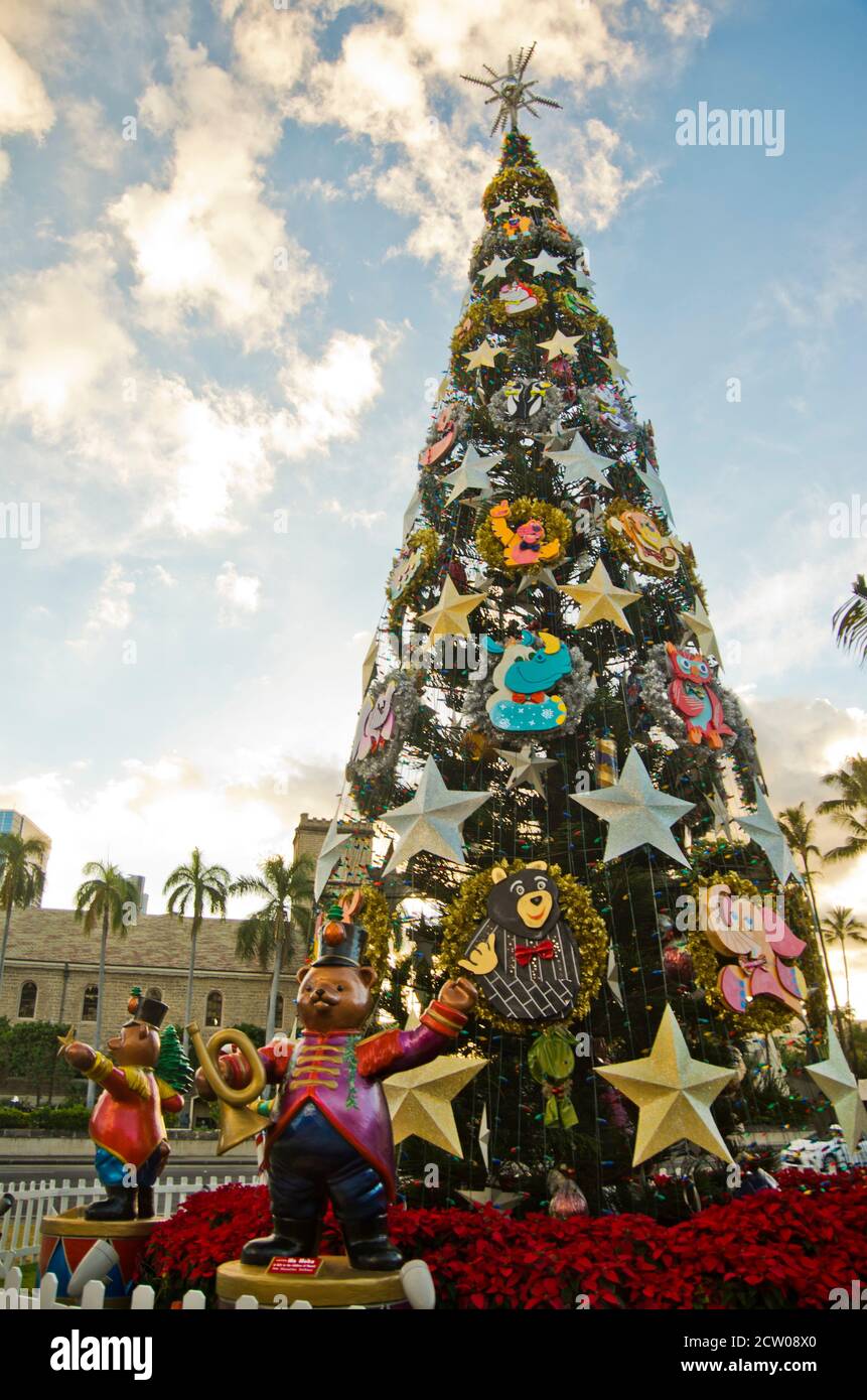 Hawaii Weihnachten Stockfoto