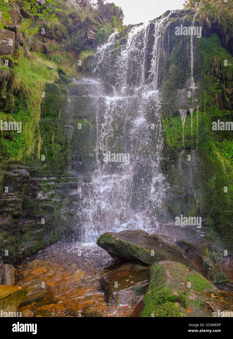 Blackden Brook , nähert sich dem Kinder Plateau im Peak District, enthält viele schöne Wasserfälle, dies ist der höchste. Stockfoto