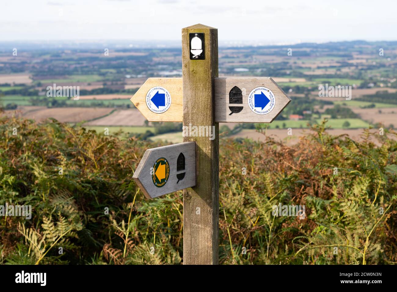 Fußpfadsymbole - blauer Pfeil (Brückenweg), gelber Pfeil (Fußweg), schwarze Eichel (Nationalweg) auf Fußpfadzeichen auf den North York Moors, England, Großbritannien Stockfoto