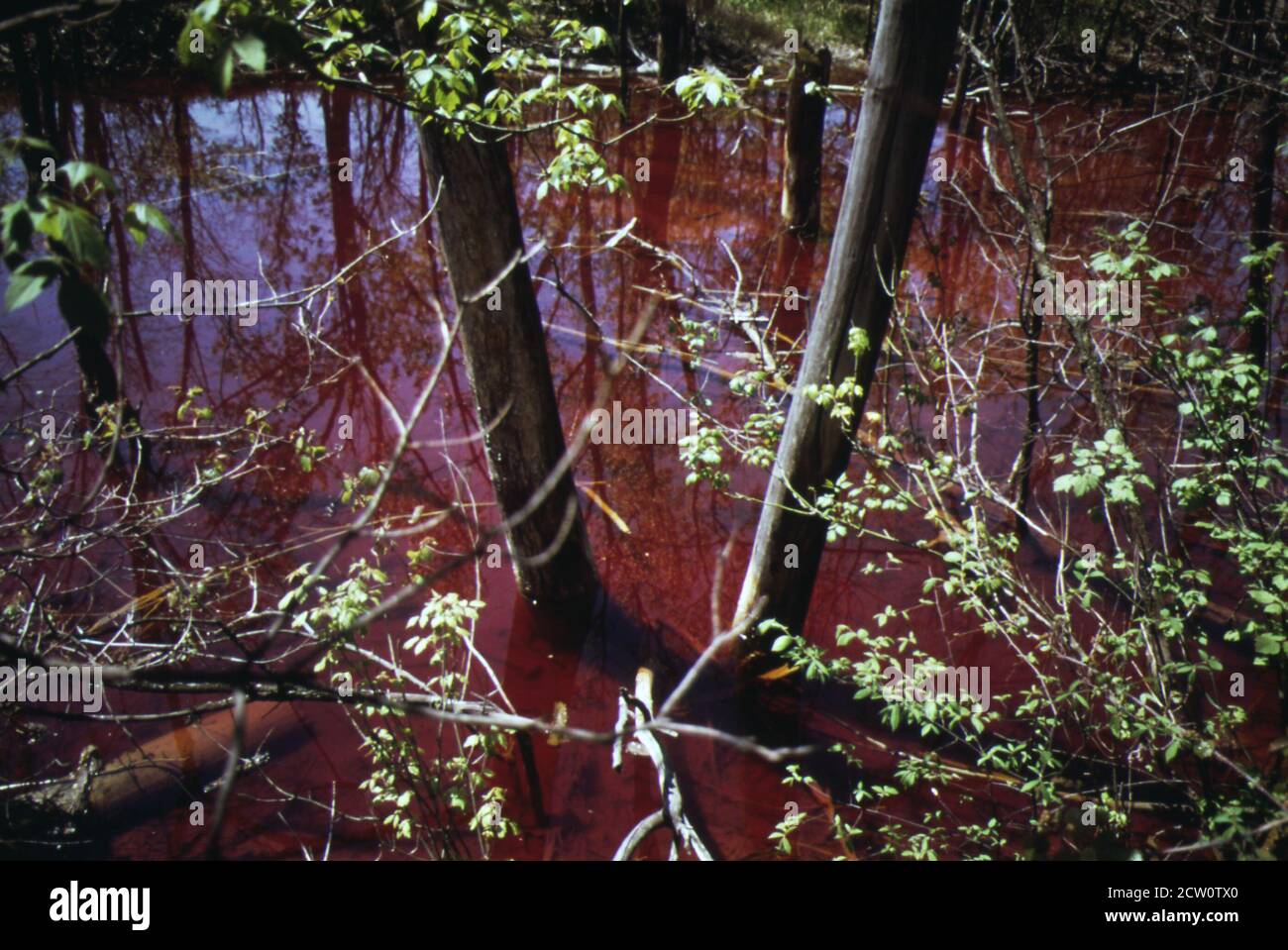 'Historische 1970er-Jahre Foto: Nach dem Abbau des Stollens bleibt eine fein pulverisierte Kohle oder "lauern" auf dem abgestreiften Land zurück. Wasser, das aus der Gülle und aus dem Abbau selbst fließt, kann farbenfrohe, aber oft tödliche Auswirkungen auf die Flora auf ihrem Weg haben, wie in dieser Szene in der Nähe einer Mine in St. David in Fulton County ca. April 1973' Stockfoto