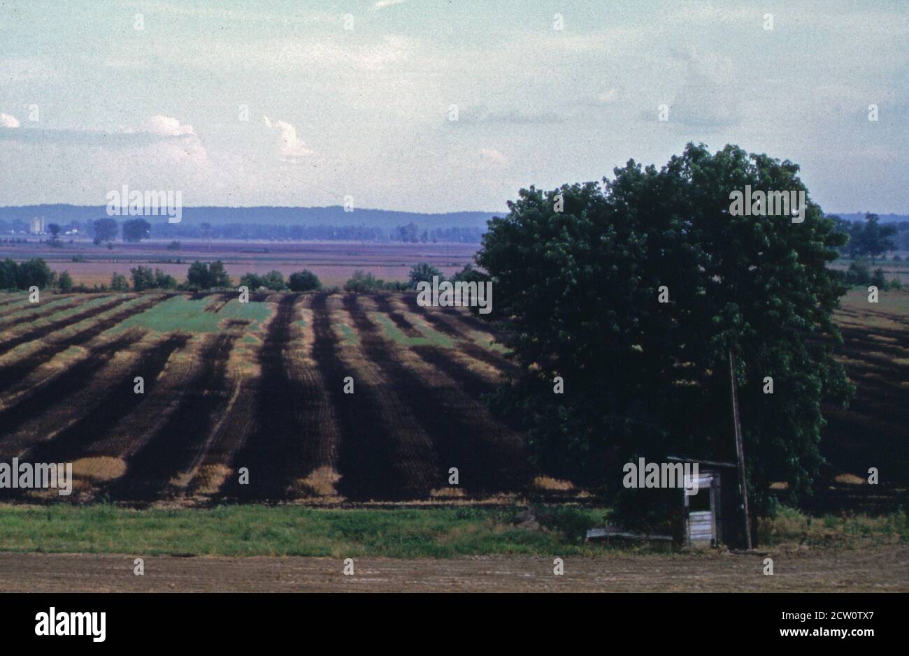 Historische 1970er Jahre Foto: Burnt Field im südlichen IL Ca. Juni 1973 Stockfoto