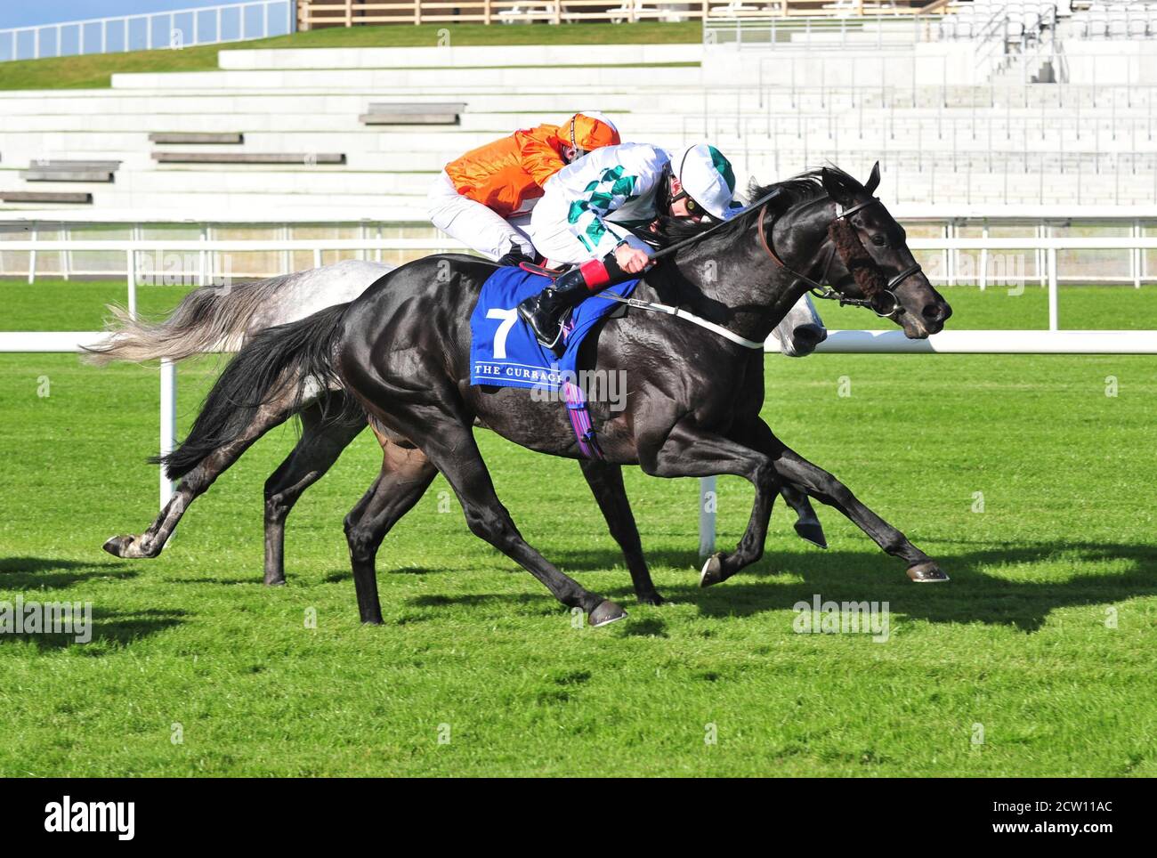 Ventura Rebel mit Jockey Declan McDonough gewinnt den Qatar Racing and Equestrian Club Renaissance Stakes (Gruppe 3) am ersten Tag des Herbstfestivals auf der Curragh Racecourse. Stockfoto