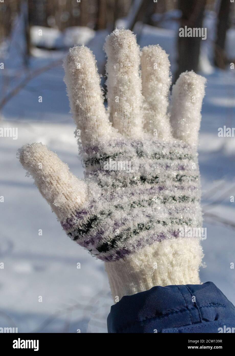 Hand in Handschuh bedeckt mit Schneeflocken im Winter Tag Stockfoto