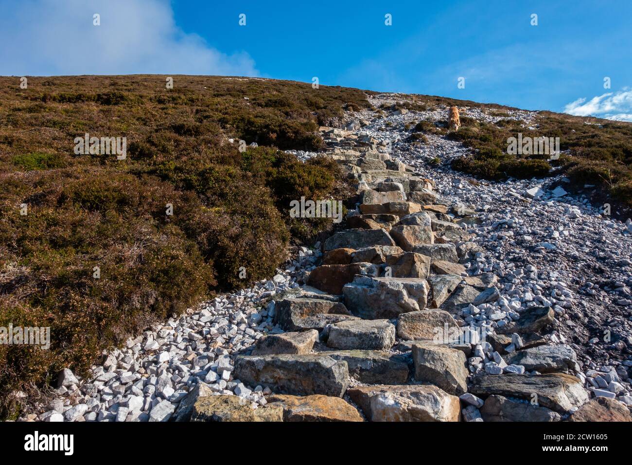 Der Weg zum Berg Carn Liath, einem Munro von 976 Metern und Teil des Beinn A Ghlo Massivs bei Blair Atholl in Perthshire, Schottland Stockfoto