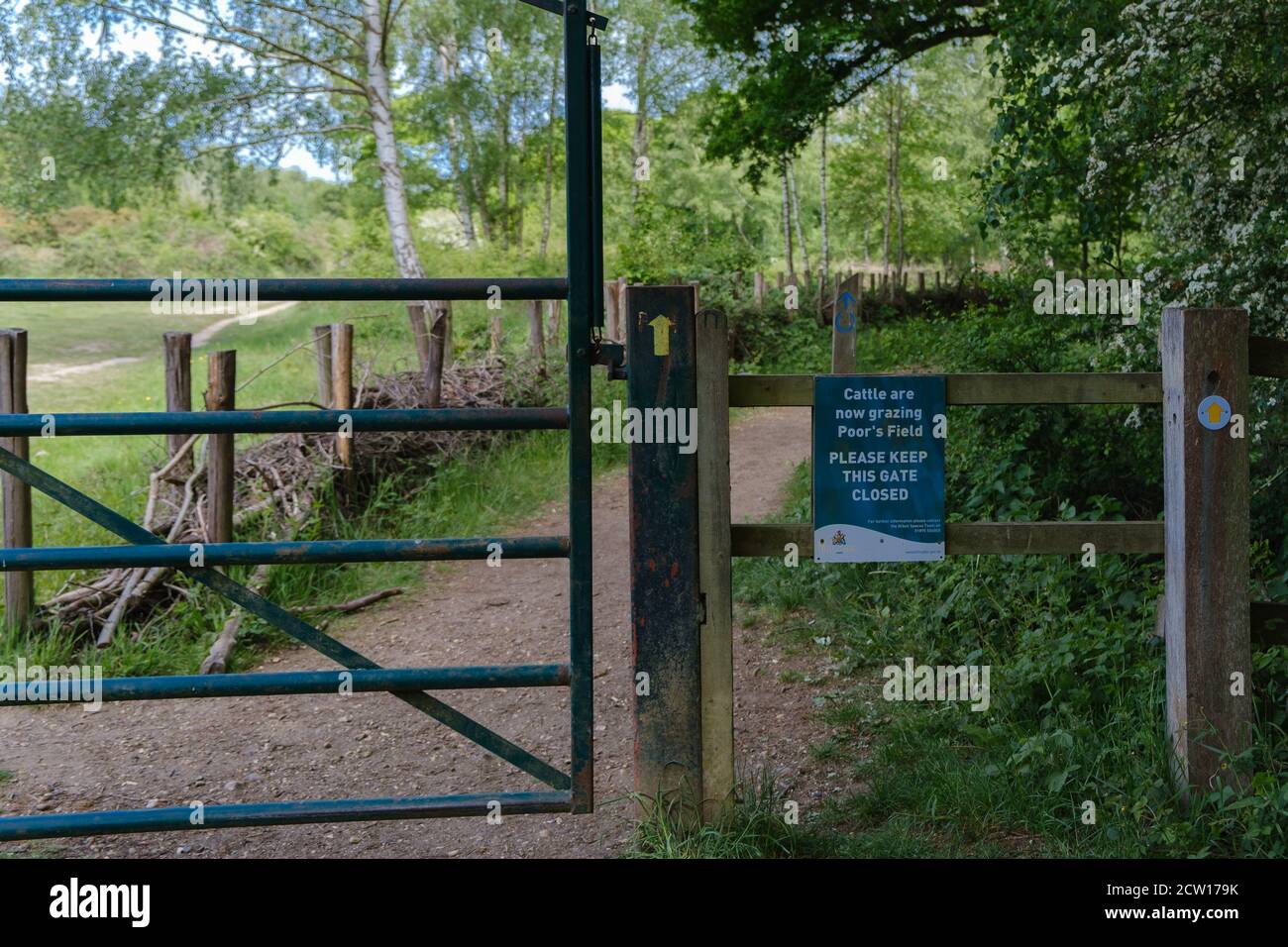 Sign on Fence von Hillingdon Green Spaces Team über Rinder Weiden & Tor geschlossen zu halten. Ruislip Woods Nature Preserve. Stockfoto