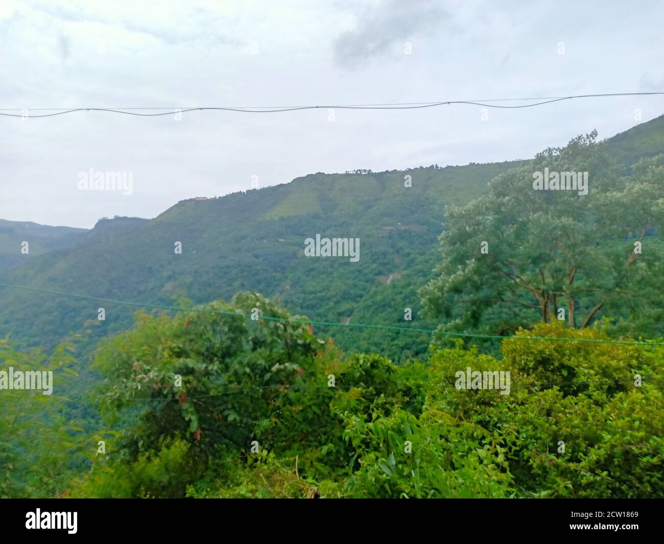 Ein hoher Berg und Bäume ein Blick von idukki indien Stockfoto